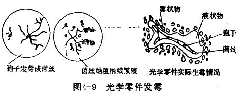 延长金相显微镜的使用寿命十大方法