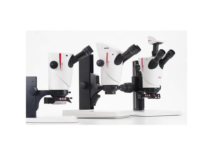 显微镜物镜的划分和应用 