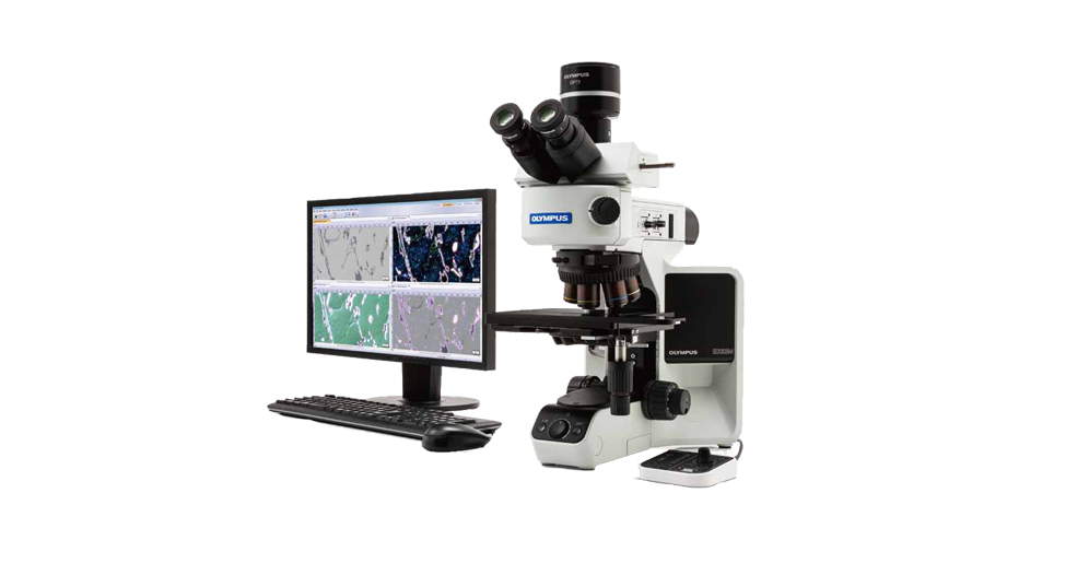 奥林巴斯金相显微镜的结构组成和使用方法 