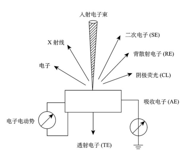 扫描电镜工作原理